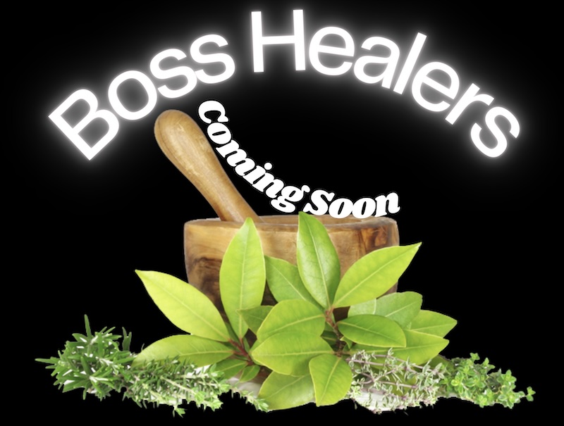 Boss Healers